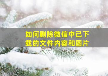 如何删除微信中已下载的文件内容和图片