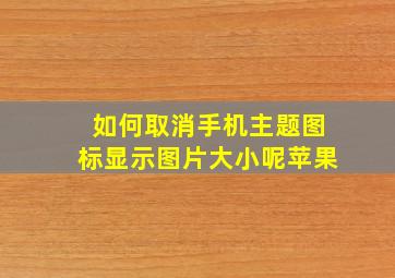 如何取消手机主题图标显示图片大小呢苹果