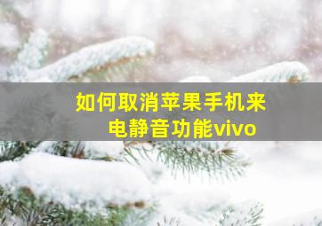 如何取消苹果手机来电静音功能vivo