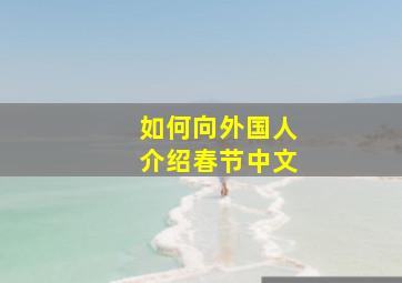 如何向外国人介绍春节中文