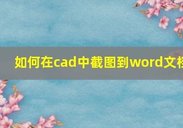 如何在cad中截图到word文档