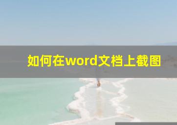 如何在word文档上截图