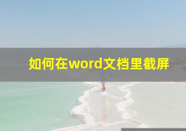 如何在word文档里截屏