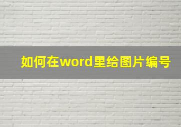 如何在word里给图片编号