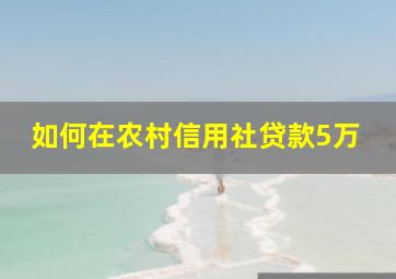 如何在农村信用社贷款5万