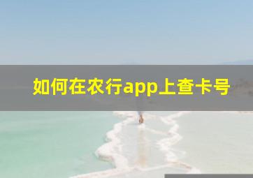 如何在农行app上查卡号