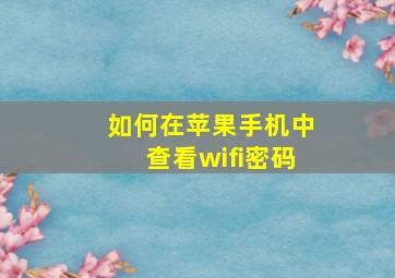 如何在苹果手机中查看wifi密码