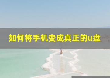 如何将手机变成真正的u盘