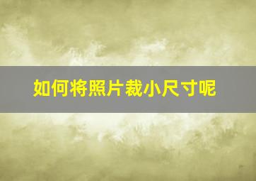 如何将照片裁小尺寸呢