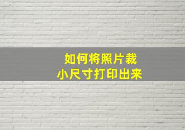 如何将照片裁小尺寸打印出来