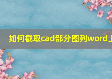 如何截取cad部分图列word上