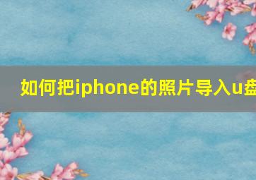 如何把iphone的照片导入u盘