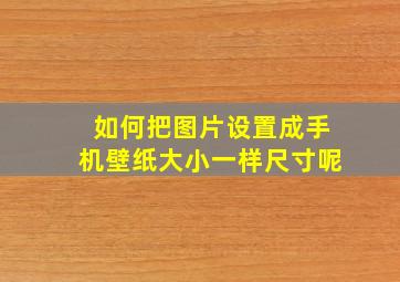 如何把图片设置成手机壁纸大小一样尺寸呢