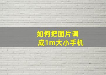 如何把图片调成1m大小手机