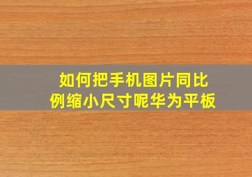 如何把手机图片同比例缩小尺寸呢华为平板