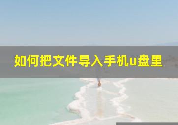 如何把文件导入手机u盘里