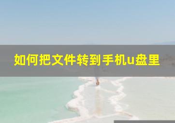 如何把文件转到手机u盘里