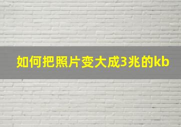 如何把照片变大成3兆的kb