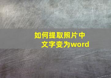 如何提取照片中文字变为word