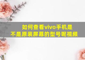 如何查看vivo手机是不是原装屏幕的型号呢视频