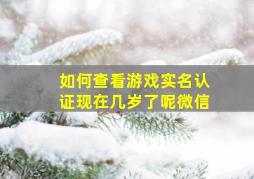 如何查看游戏实名认证现在几岁了呢微信