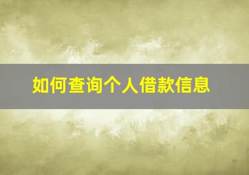 如何查询个人借款信息