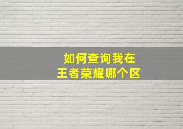 如何查询我在王者荣耀哪个区