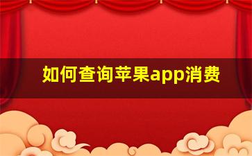 如何查询苹果app消费