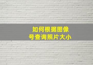 如何根据图像号查询照片大小