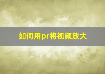 如何用pr将视频放大