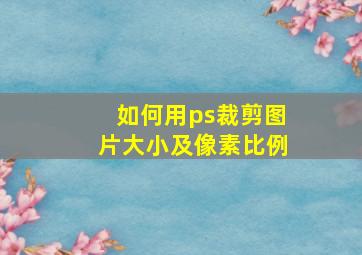 如何用ps裁剪图片大小及像素比例