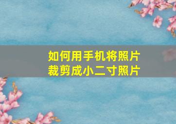 如何用手机将照片裁剪成小二寸照片