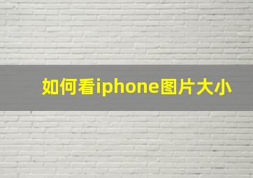 如何看iphone图片大小