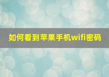 如何看到苹果手机wifi密码