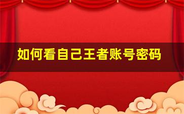 如何看自己王者账号密码