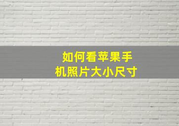 如何看苹果手机照片大小尺寸