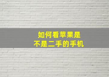 如何看苹果是不是二手的手机