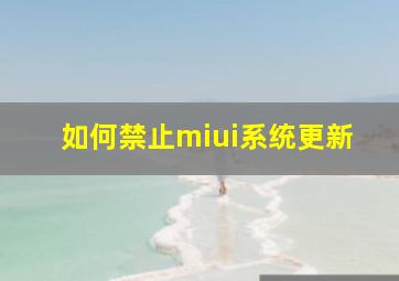 如何禁止miui系统更新