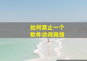 如何禁止一个软件访问网络