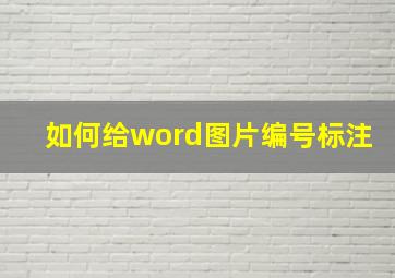 如何给word图片编号标注