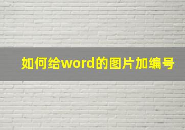 如何给word的图片加编号