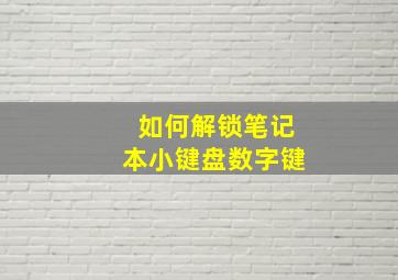 如何解锁笔记本小键盘数字键