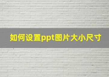 如何设置ppt图片大小尺寸