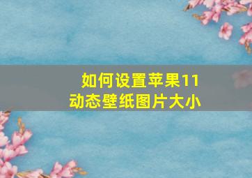 如何设置苹果11动态壁纸图片大小