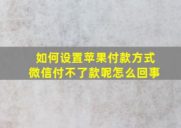 如何设置苹果付款方式微信付不了款呢怎么回事