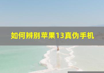 如何辨别苹果13真伪手机