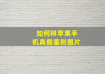 如何辨苹果手机真假鉴别图片