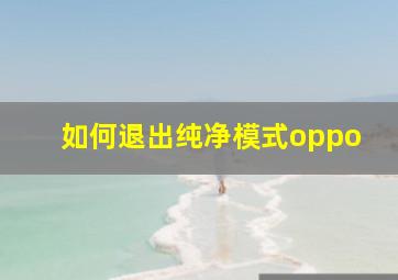 如何退出纯净模式oppo