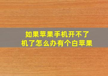 如果苹果手机开不了机了怎么办有个白苹果