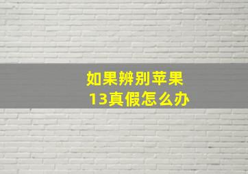 如果辨别苹果13真假怎么办